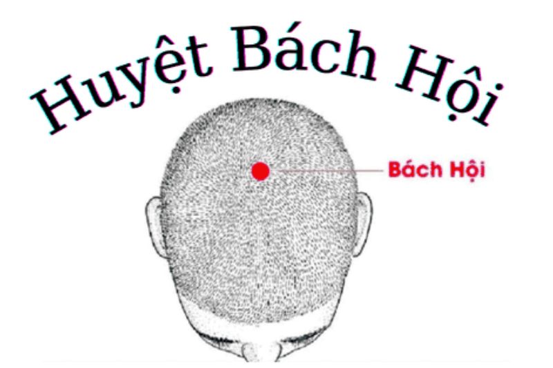 Huyệt Bách Hội