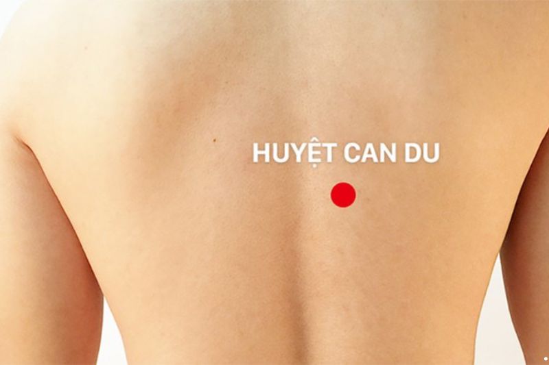 Tìm hiểu chi tiết các huyệt giác hơi ở lưng