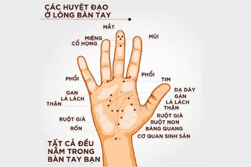 Các huyệt trên bàn tay của bạn
