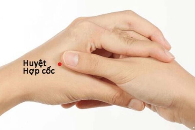 Cách bấm huyệt bàn tay chữa bách bệnh