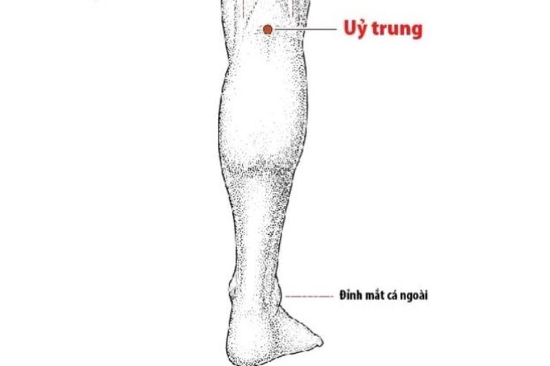 Huyệt Ủy Trung