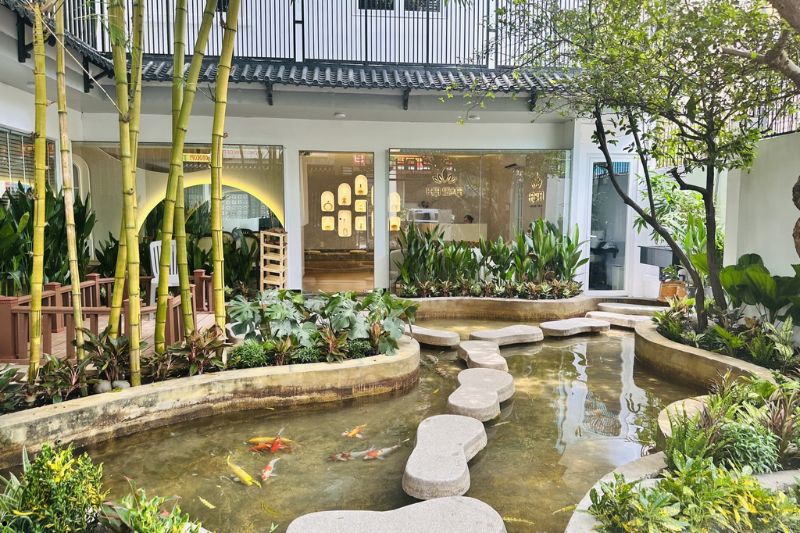 Hạ spa